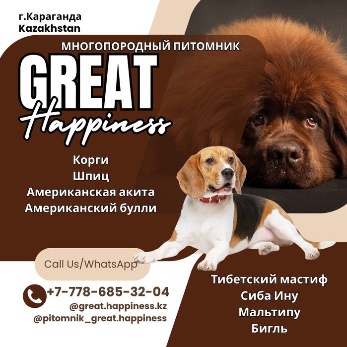 В вашем доме не хватает хаоса и счастья? Исправим!

Текст:
Этот малыш-