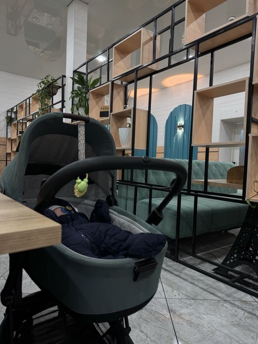 Коляска универсальная 2 в 1 Easywalker Charley.