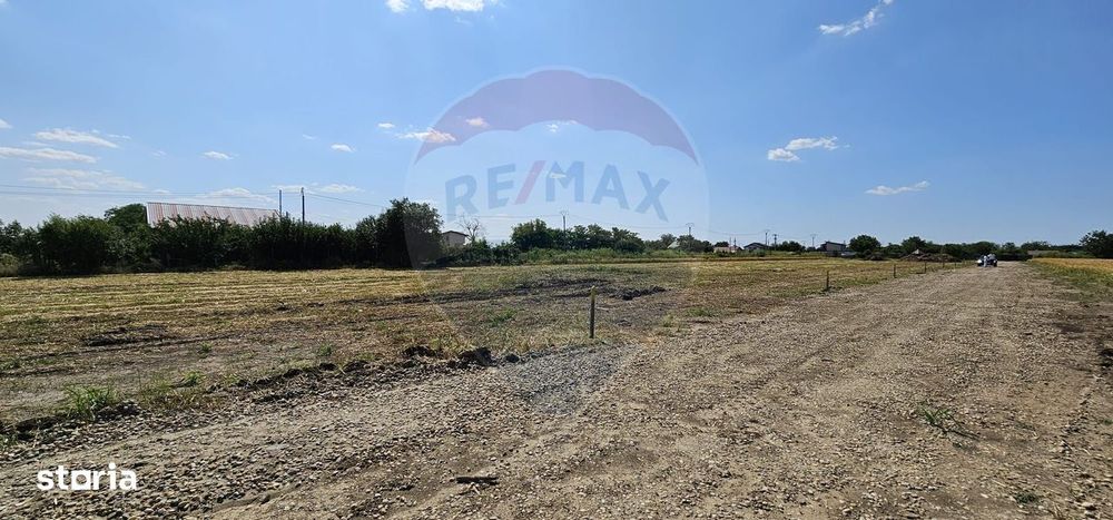 Terenuri intravilane Frumușani – Preț excelent, investiție sigură!