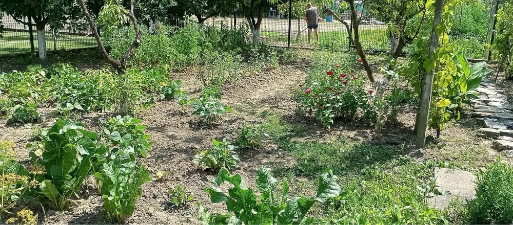 Vand casa in Simleu Silvaniei