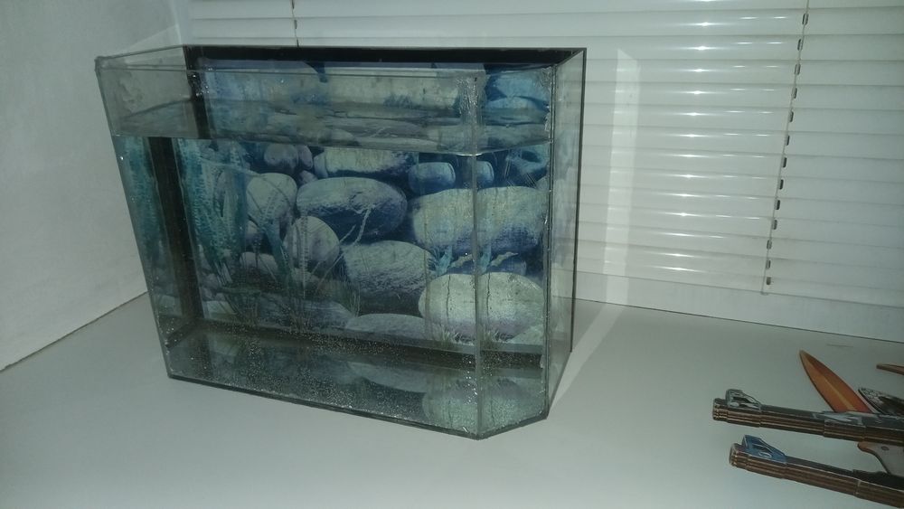 Аквариум аквариум