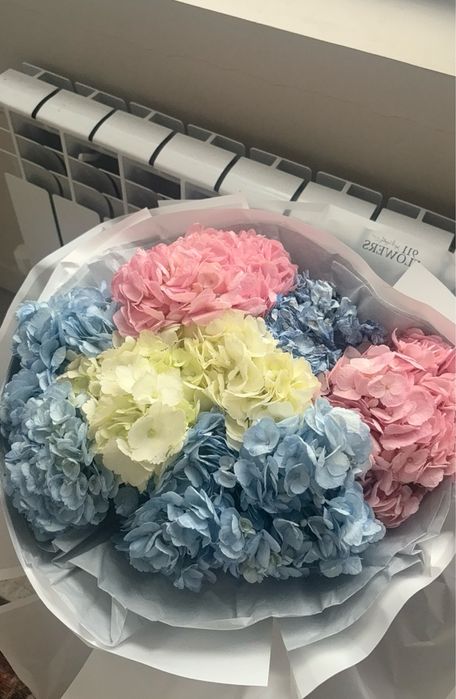 букет гортензия из 9шт