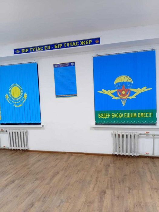 Дикей Ролл шторы Жалюзи