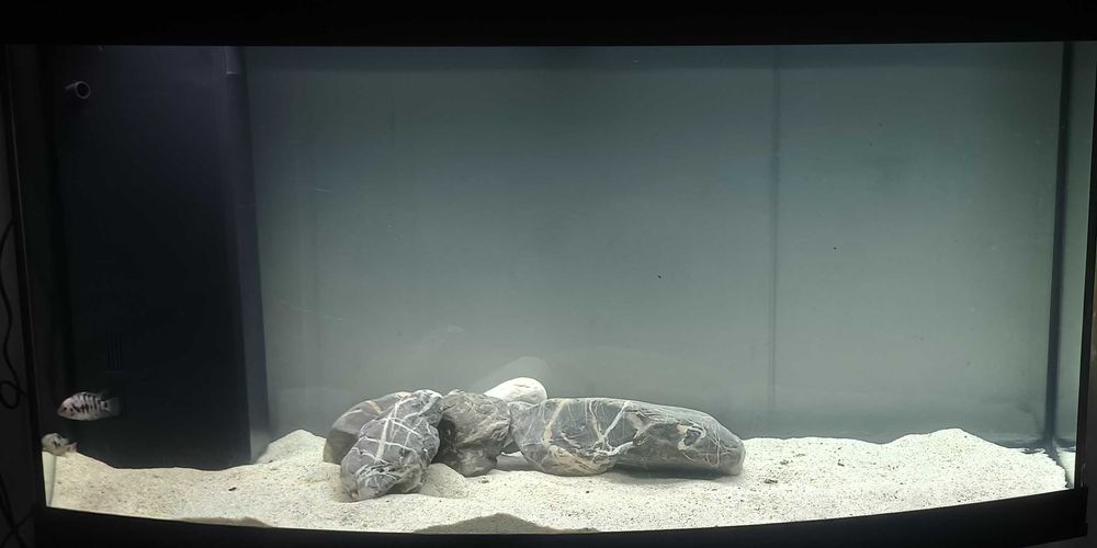 Acvariu Juwel Vision 260 NEGRU