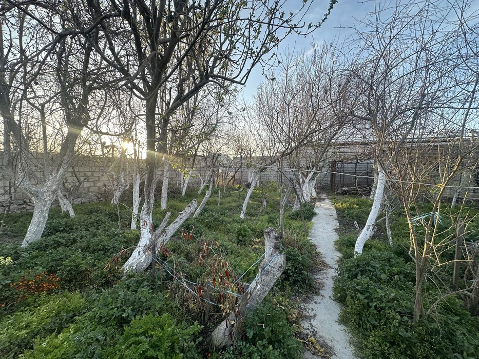 Участок/Дача в Навои срочно продается