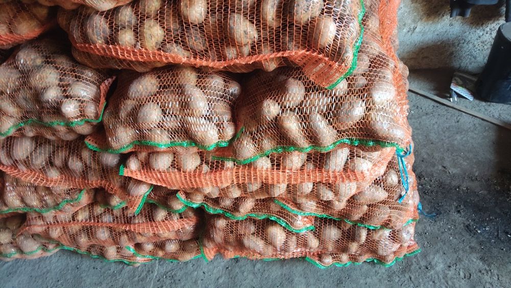 Cattofi consum , samanta sí pentru animale