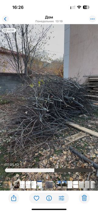 Вывоз мусора по городу газель доставка