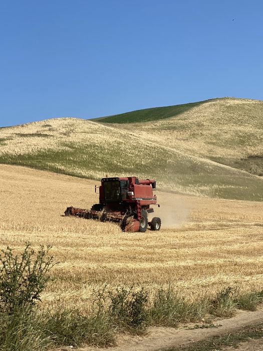 Combina CASE 1660 de panta , 4x4 case axial flow