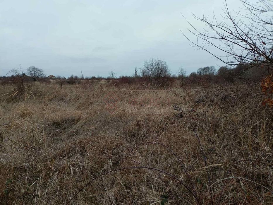 Земя в землището на с. Равна гора