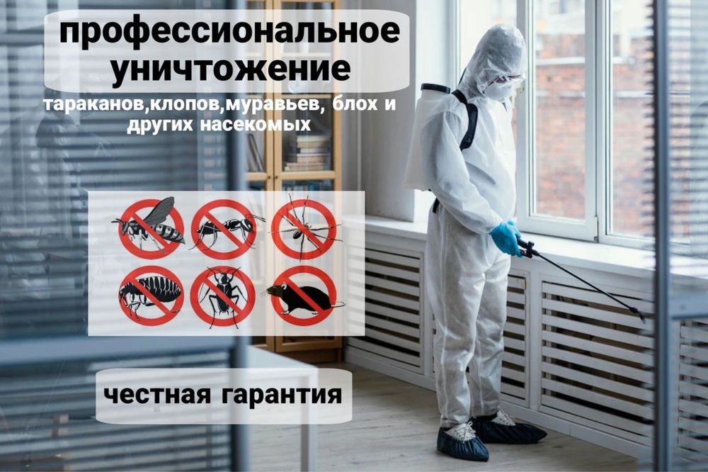 Дезинфекция,дезинсекция от всех насекомых