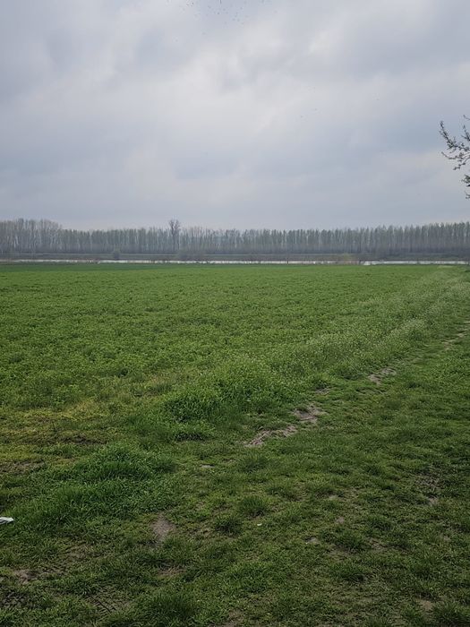 Teren cu deschidere la apa