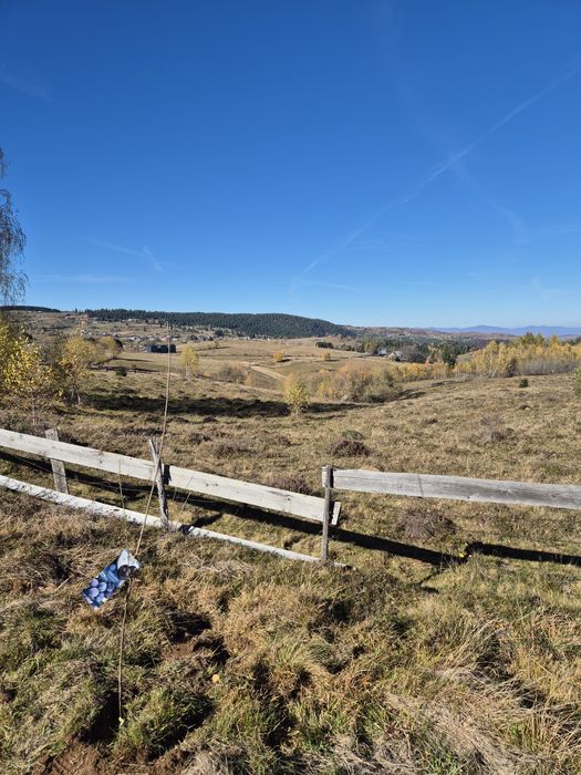 Teren Mărișel 1000mp