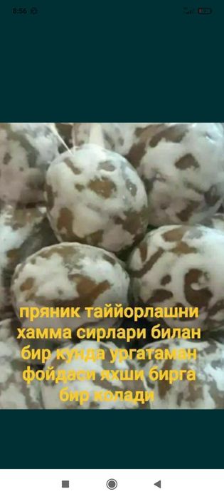 Praynik va boshqa koʻplab kanditer maxsulotlari urgataman