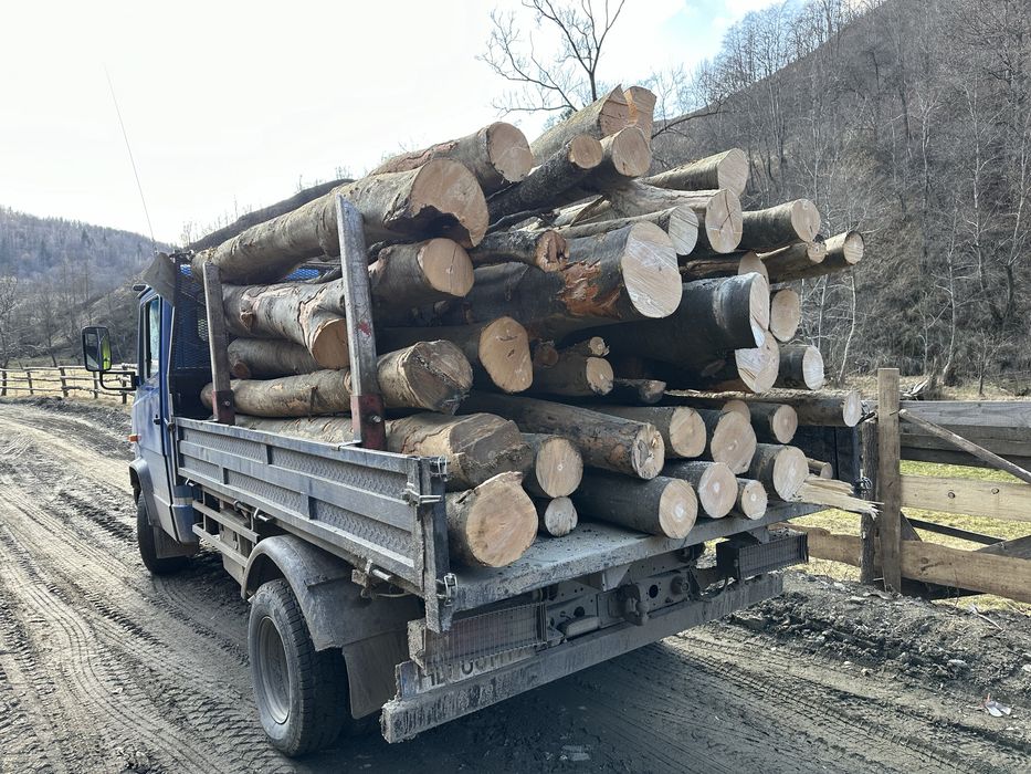 Lemn de foc material lemnos