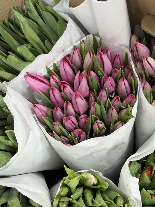 Тюльпаны оптом и в розницу + упаковка в подарок