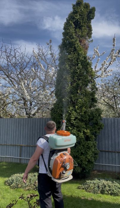 Tratamente Plante si  Stropiri de Specialitate