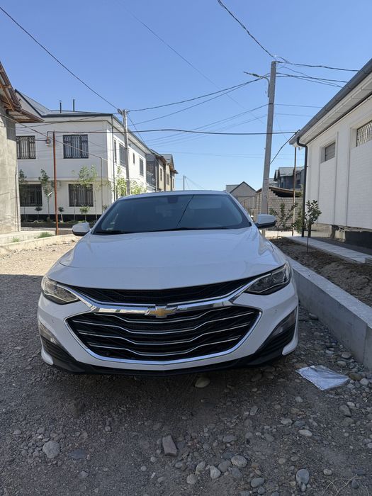 Malibu 2 premier