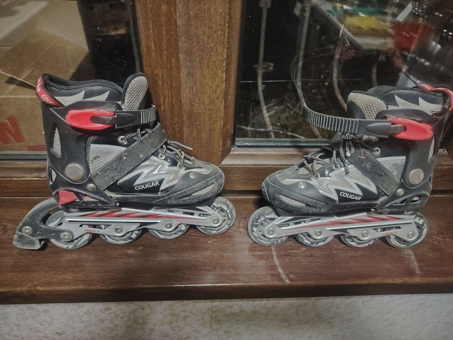 Cougar firminniy roliklar sotaman