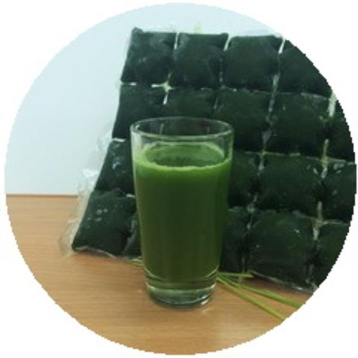 Витграсс/ростки пшеницы