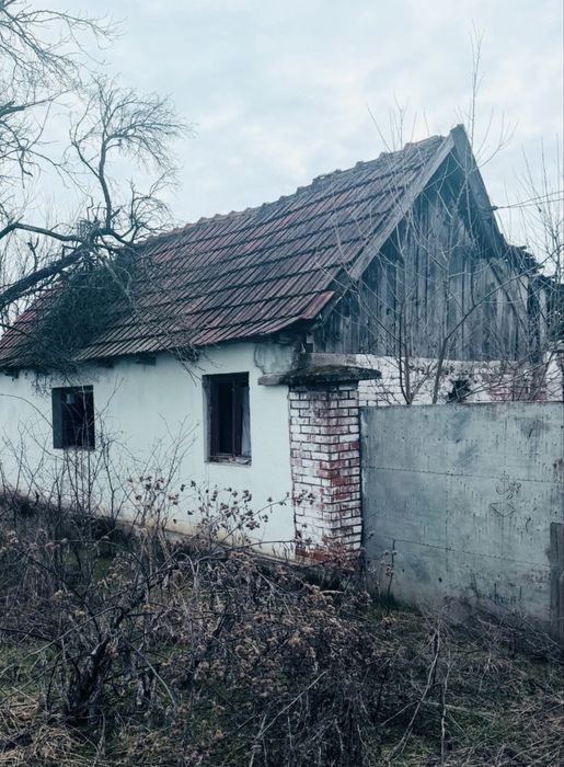Casa de vanzare judetul arad sat rapsig langa ineu