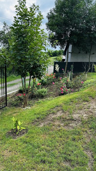 Vand teren intravilan sat Bărăi com. Căianu