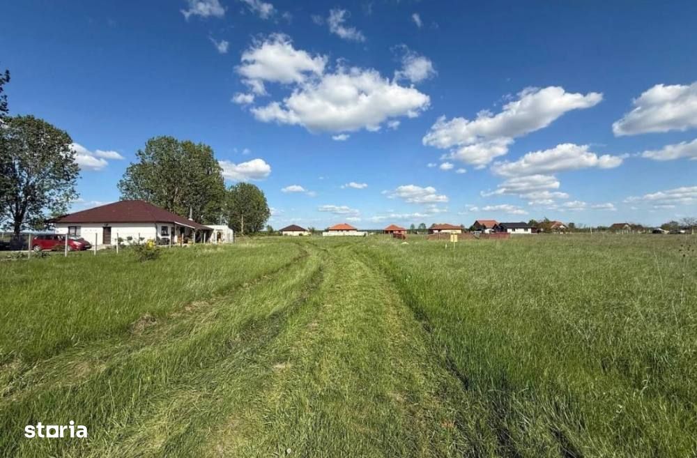 Teren intravilan Lazuri – 1.000 mp, 2 parcele de 500 mp, front 53 m