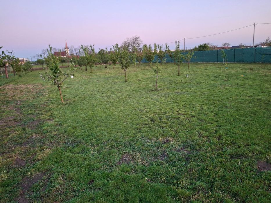 Amenajari si intretinere Spati Verzi