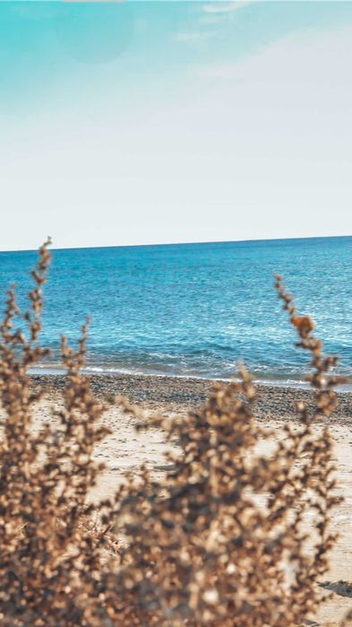 Дава се под наем Двустаен апартамент в Благоевград, Ален мак - 36 кв.м за 65 € - Снимка #14