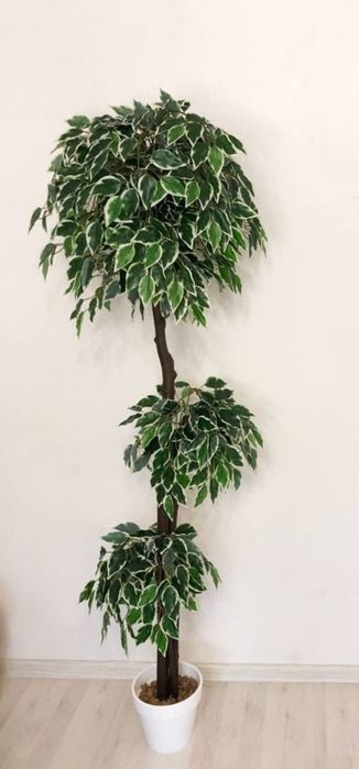 Искусственные деревья и растения