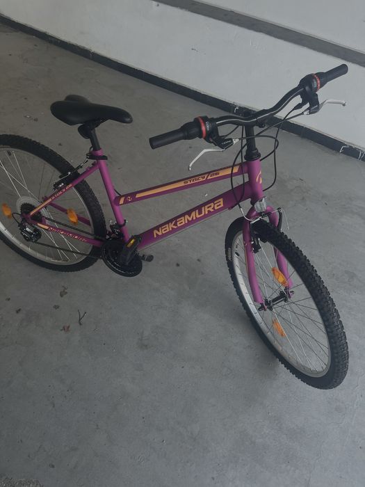 Bicicleta Dama Simpla