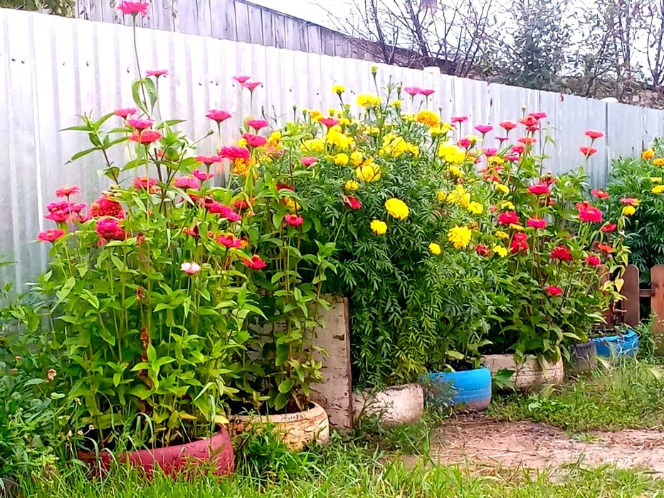 Продам 3-комнатный дом