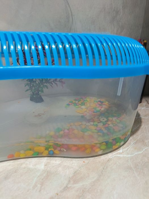 Продам краба срочно