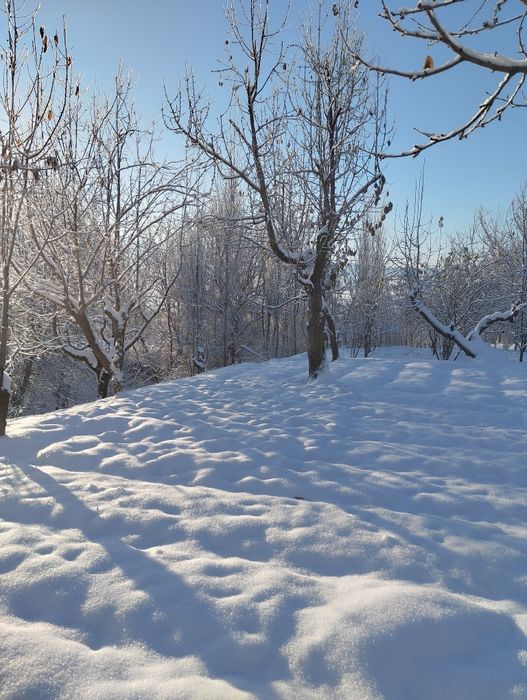 Yer sotiladi tog' yonbag'rida havosi toza