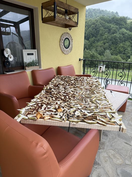 Hribi  uscate si vidate