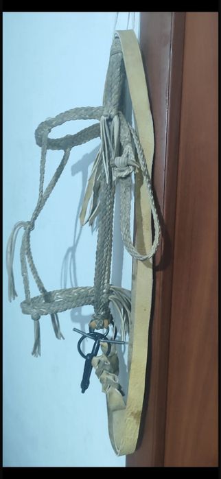 Қайыс жүген, қамшы (уздечка)