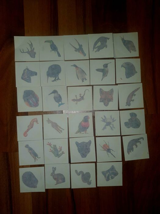 Colecție tatuaje Expeditie in jurul lumii 2