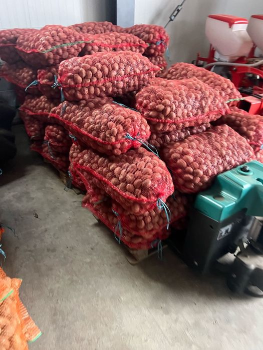 Cartofi albi și rozi