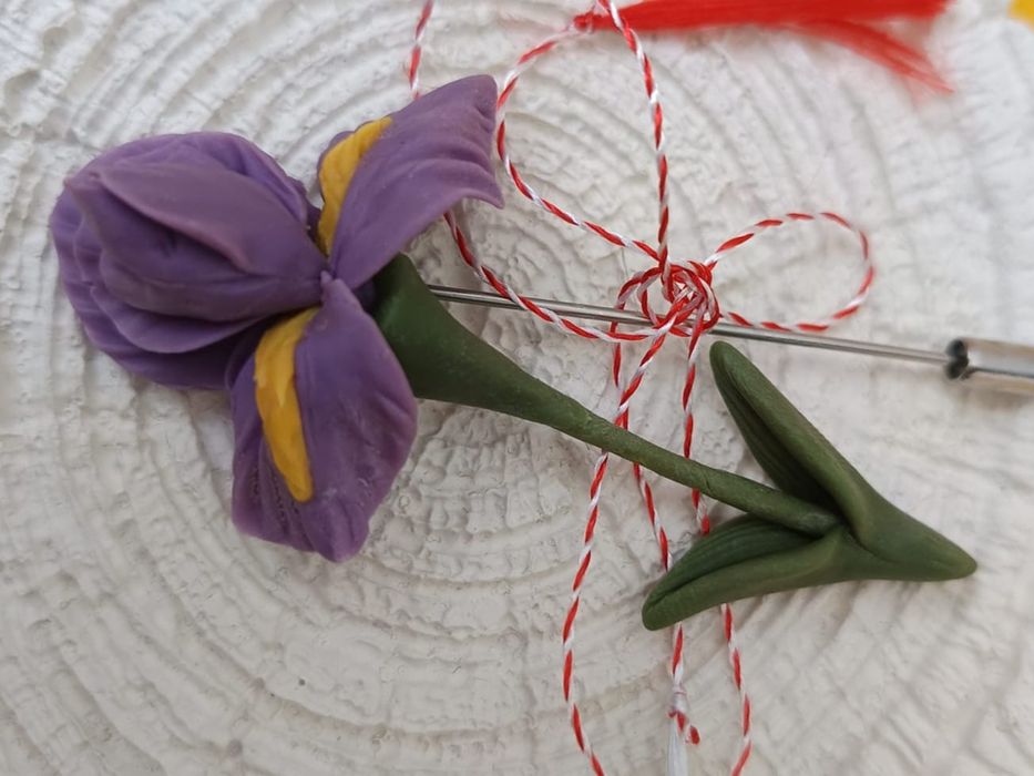 Brosa Iris, portelan rece