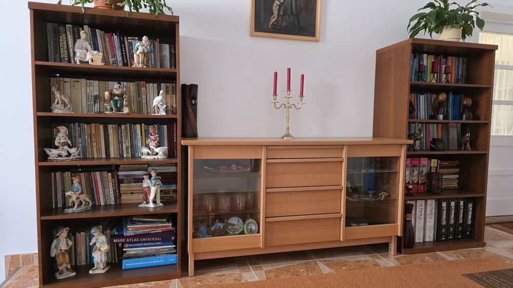 Mobilier bibliotecă și servantă