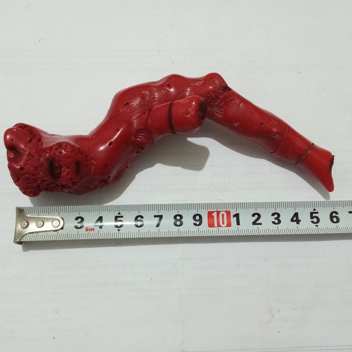 Коралл натуральный вес 854г