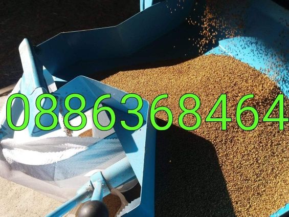 Продава люцерново семе, ( семе от люцерна)