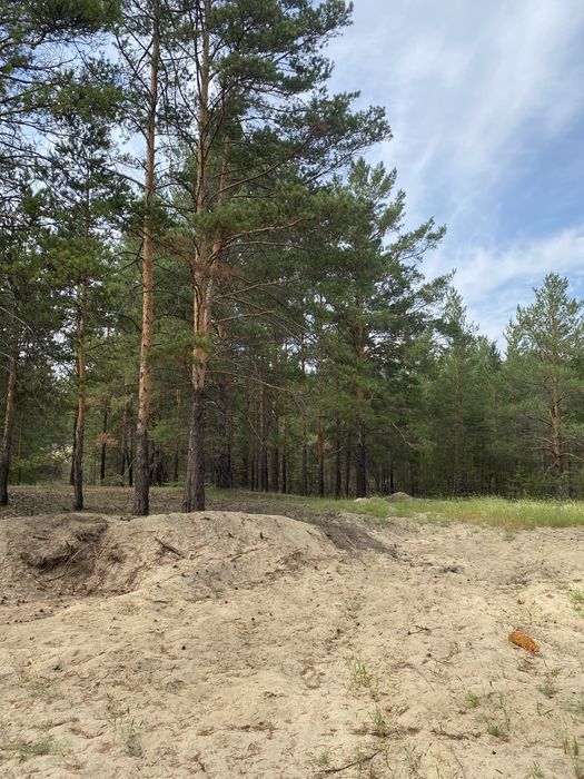 Коммерческий участок