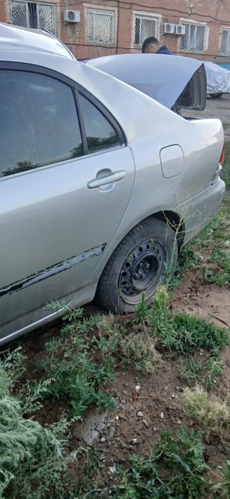Прадам   Toyota corolla