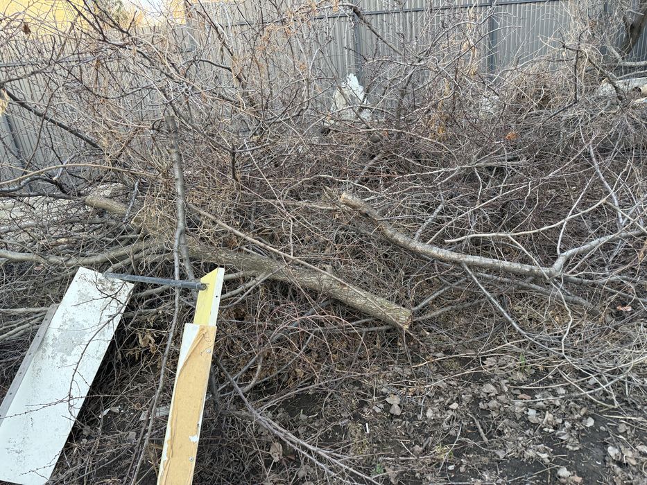 Дрова даром самовывоз