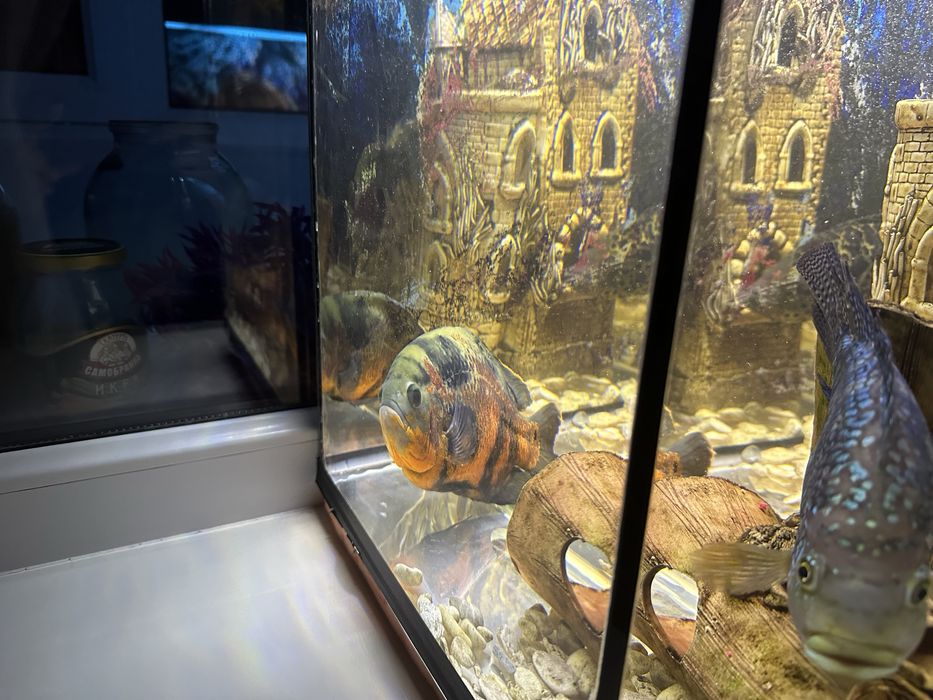 Продам красивый аквариум