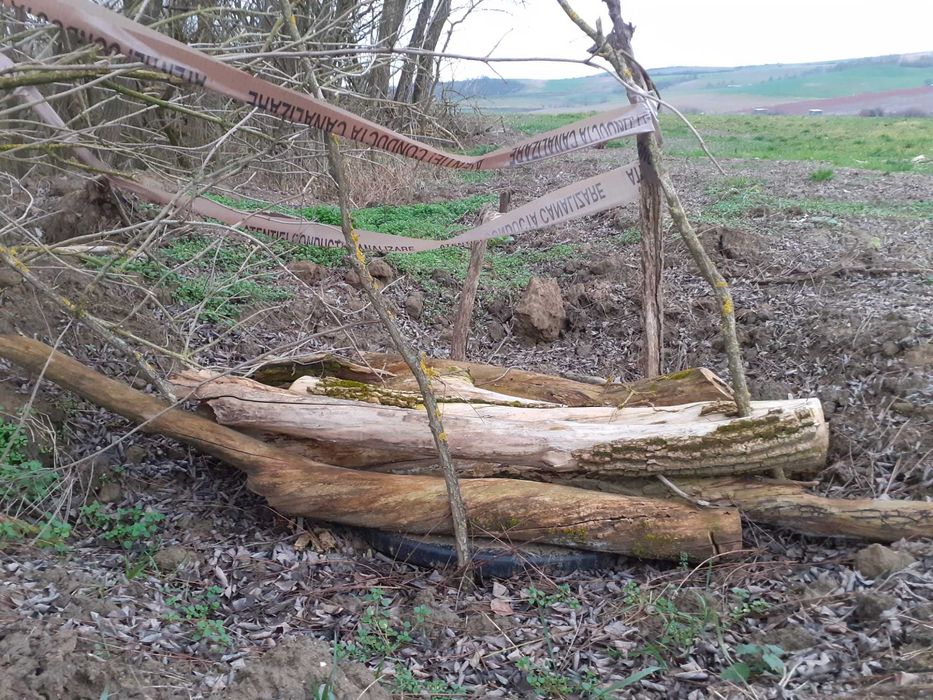 Teren ApăCanal extravilan Mărtinești între Simeria - Orăștie 23km Deva