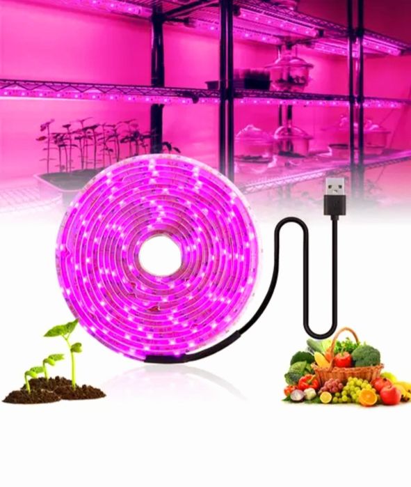 100w,200w,300w Прожектор за бърз растеж,Разсад,Фито лампа,Растения,Лед