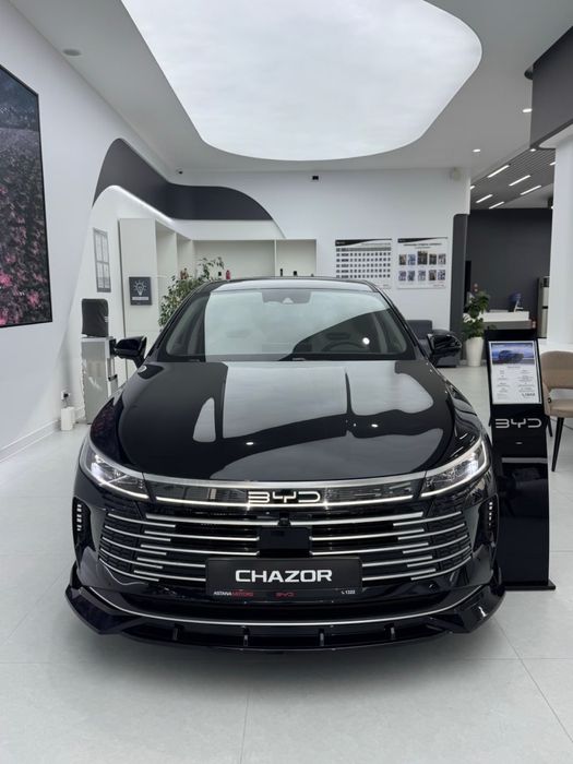 BYD Chazor CHAMPION DM-i 55km 120km