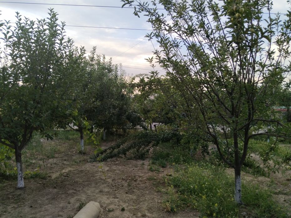 Продается дом 2 сотки. Хасанбай. Срочно!!!