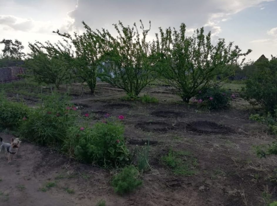 Продам дачу 8 соток